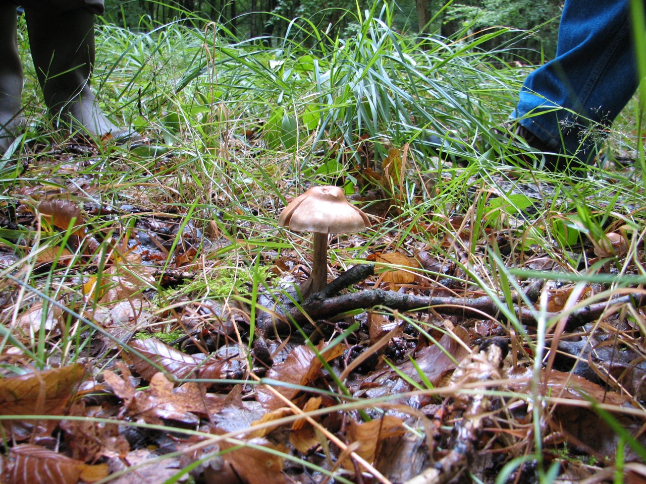 2011 09 04 Sortie Myco Croix Pater 14